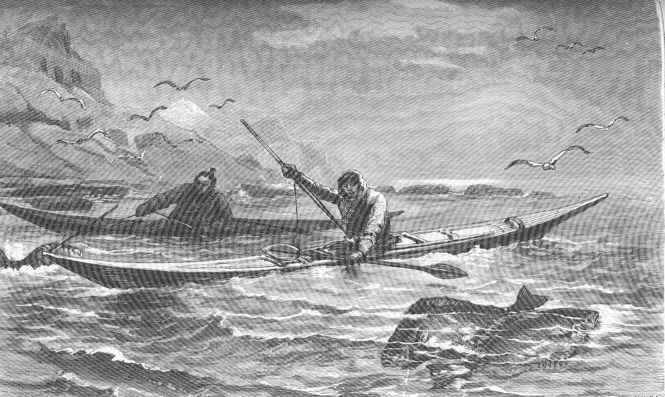 Greenland fishing