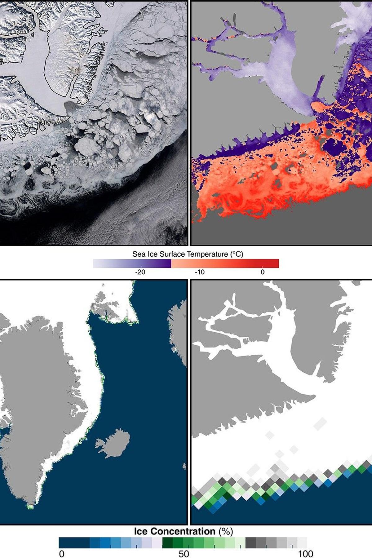 sea ice Greenland